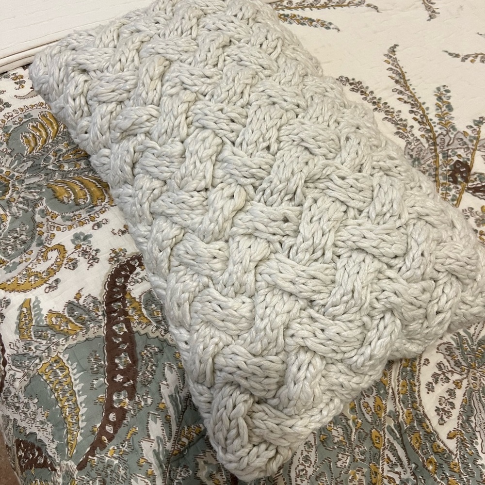 Potterybarn woven pillow cover and down insert